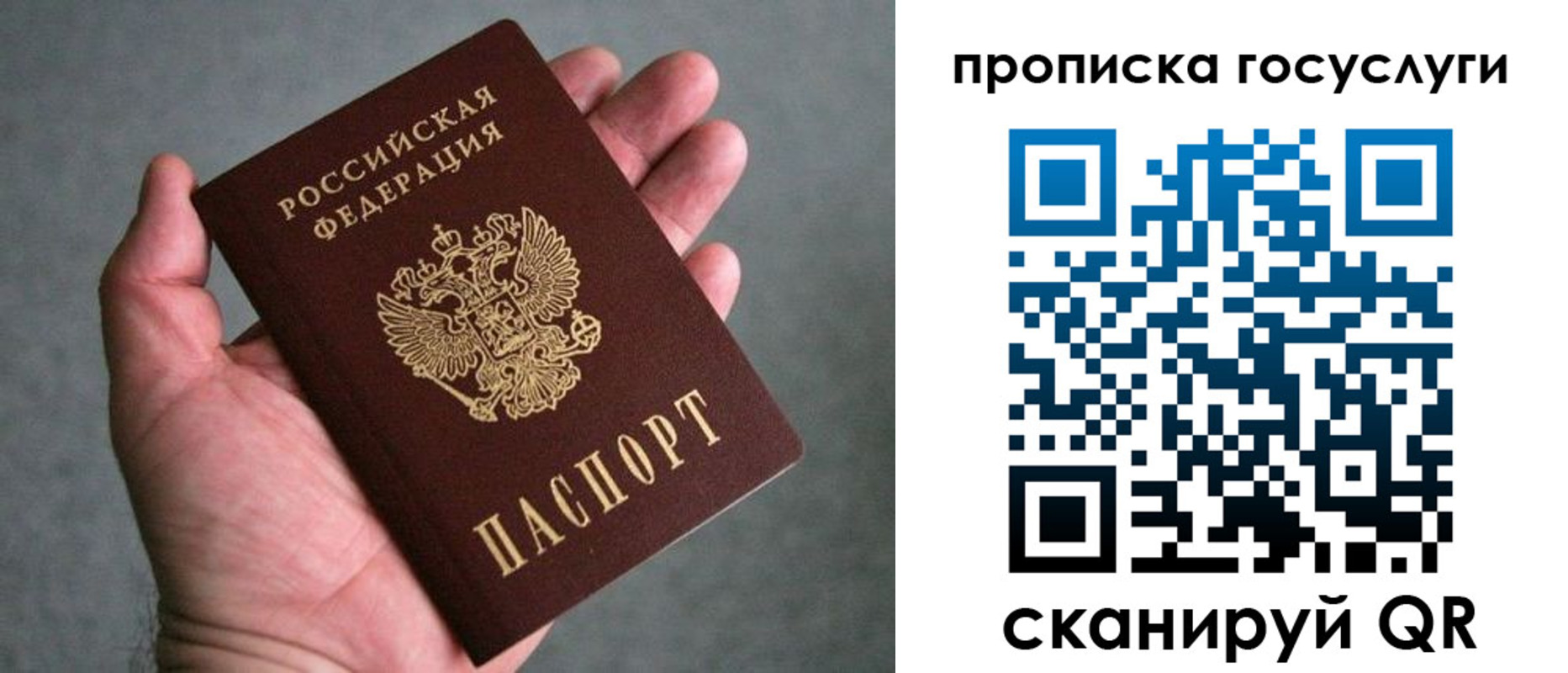 регистрация для дет. сада в Мончегорске