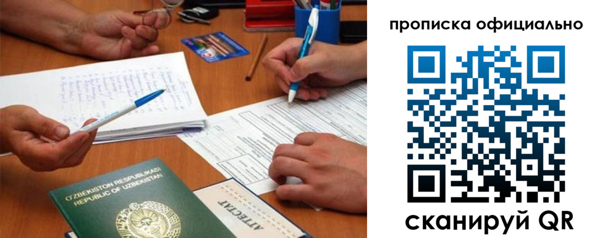 прописка для школы в Мончегорске